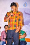 Mirapakaya Movie Triple Platinum Disc Function - 7 of 131