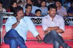 Mirapakaya Movie Triple Platinum Disc Function - 8 of 131