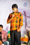 Mirapakaya Movie Triple Platinum Disc Function - 93 of 131