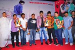 Mirapakaya Movie Triple Platinum Disc Function - 11 of 131