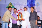 Mirapakaya Movie Triple Platinum Disc Function - 36 of 131