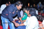 Mirapakaya Movie Triple Platinum Disc Function - 59 of 131