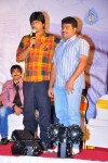 Mirapakaya Movie Triple Platinum Disc Function - 34 of 131