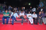 Mirapakaya Movie Triple Platinum Disc Function - 43 of 131