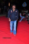 Mirapakaya Movie Triple Platinum Disc Function - 49 of 131