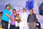 Mirapakaya Movie Triple Platinum Disc Function - 50 of 131