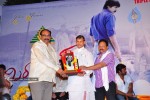 Mirapakaya Movie Triple Platinum Disc Function - 58 of 131