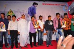 Mirapakaya Movie Triple Platinum Disc Function - 94 of 131