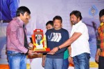 Mirapakaya Movie Triple Platinum Disc Function - 123 of 131