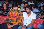 Mirapakaya Movie Triple Platinum Disc Function - 128 of 131