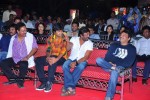 Mirapakaya Movie Triple Platinum Disc Function - 131 of 131