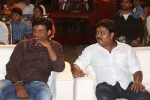 Mirchilanti Kurradu Audio Launch 01 - 45 of 97