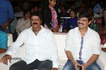 Mirchilanti Kurradu Audio Launch 01 - 49 of 97