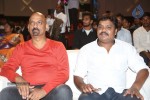 Mirchilanti Kurradu Audio Launch 01 - 51 of 97