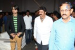 Mirchilanti Kurradu Audio Launch 01 - 90 of 97