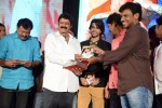 Mirchilanti Kurradu Audio Launch 02 - 107 of 147