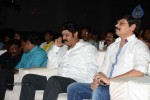 Mirchilanti Kurradu Audio Launch 02 - 117 of 147