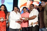 Mirchilanti Kurradu Audio Launch 02 - 119 of 147