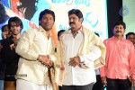 Mirchilanti Kurradu Audio Launch 02 - 43 of 147