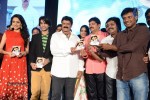 Mirchilanti Kurradu Audio Launch 02 - 53 of 147