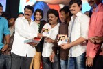 Mirchilanti Kurradu Audio Launch 02 - 113 of 147