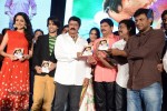 Mirchilanti Kurradu Audio Launch 02 - 114 of 147