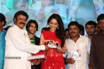 Mirchilanti Kurradu Audio Launch 03 - 31 of 282