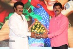 Mirchilanti Kurradu Audio Launch 03 - 43 of 282