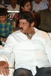 Mirchilanti Kurradu Audio Launch 03 - 101 of 282