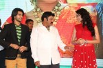 Mirchilanti Kurradu Audio Launch 03 - 111 of 282