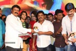 Mirchilanti Kurradu Audio Launch 03 - 114 of 282