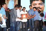 Mirchilanti Kurradu Audio Launch 03 - 183 of 282