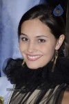 Miss South Africa Nicole Flint Photos - 18 of 69