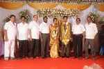 Mohana Sanghavi Wedding Reception - 15 of 48