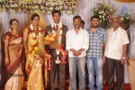 Mohana Sanghavi Wedding Reception - 46 of 48