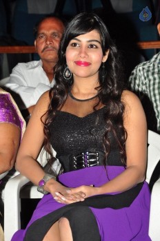 Money is Honey Movie Audio Launch - 25 of 35