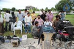 Money Money More Money Movie Working Stills - 144 of 177