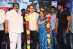 Mosagallaku Mosagadu Audio Launch 01 - 48 of 67