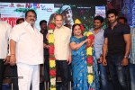 Mosagallaku Mosagadu Audio Launch 01 - 60 of 67