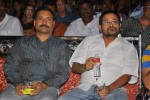 Mr.7 Movie Audio Launch - 30 of 101