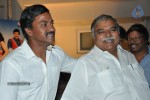 Mr. Pellikoduku Movie Audio 01 - 57 of 103