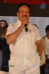 Mr. Pellikoduku Movie Audio 02 - 32 of 100