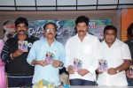 Mr. Rowdy Movie Audio Launch - 5 of 43