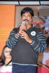 Mr. Rowdy Movie Audio Launch - 6 of 43