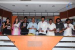 Mr. Rowdy Movie Audio Launch - 9 of 43