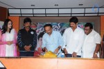 Mr. Rowdy Movie Audio Launch - 14 of 43