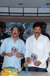 Mr. Rowdy Movie Audio Launch - 15 of 43