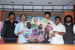 Mr. Rowdy Movie Audio Launch - 18 of 43