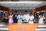 Mr. Rowdy Movie Audio Launch - 28 of 43