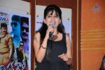 Mr. Rowdy Movie Audio Launch - 30 of 43